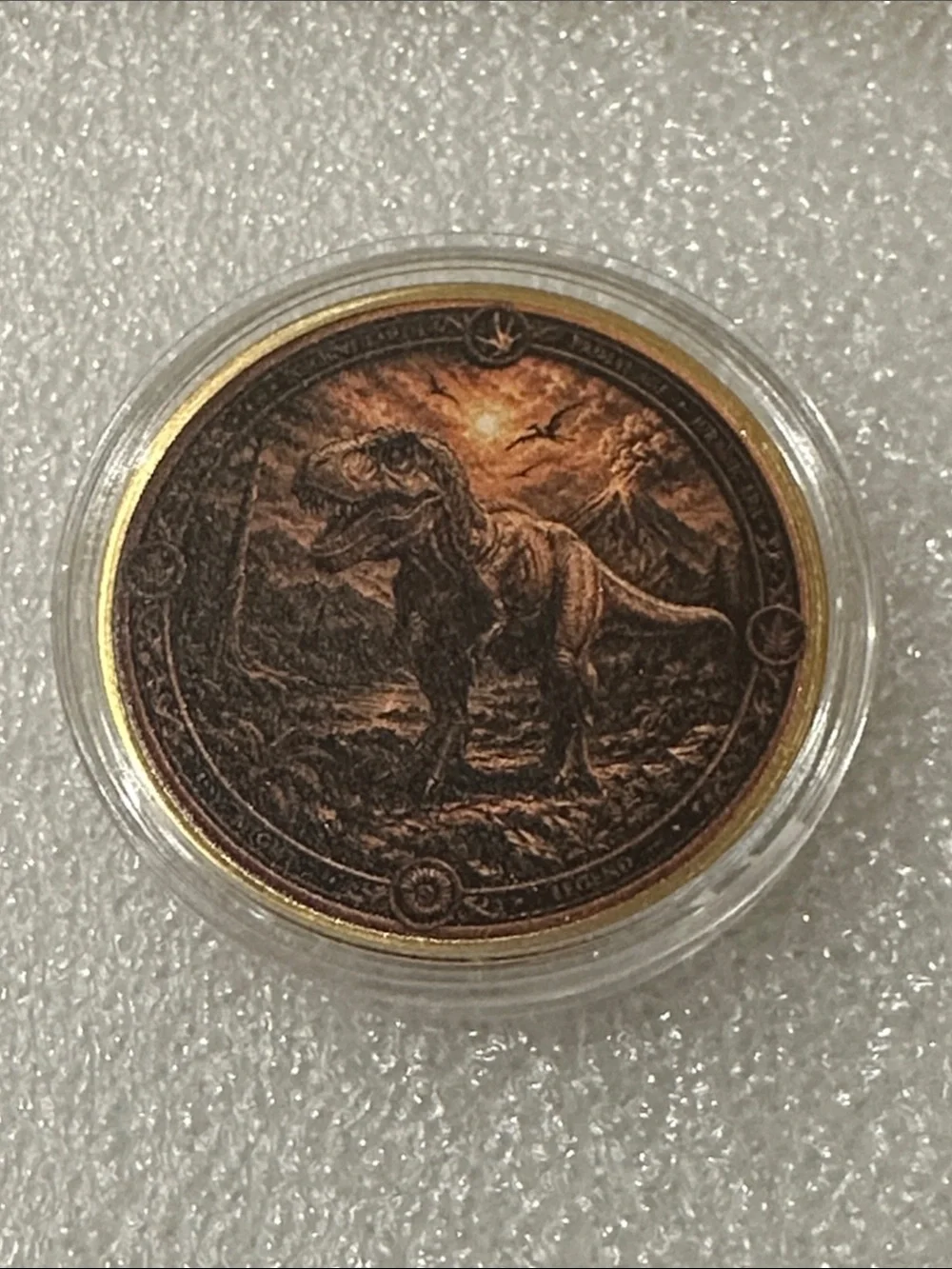 Dinosaur Themed Decorative Coin - Brown